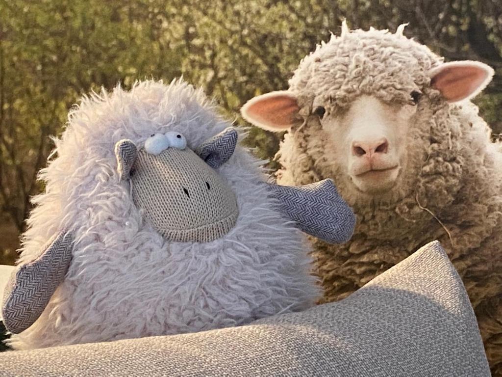 una oveja está sentada junto a un animal de peluche en Le Mouton à 5 Pattes Aubagne-Cassis-Aix en Provence en Aubagne