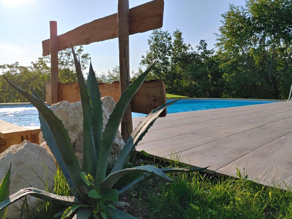 uma planta ao lado de um calçadão de madeira ao lado de uma piscina em Il carpino bianco em Puegnago