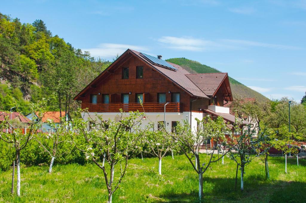 una gran casa de madera en un campo con árboles en LIVADA AMELY, en Galeş
