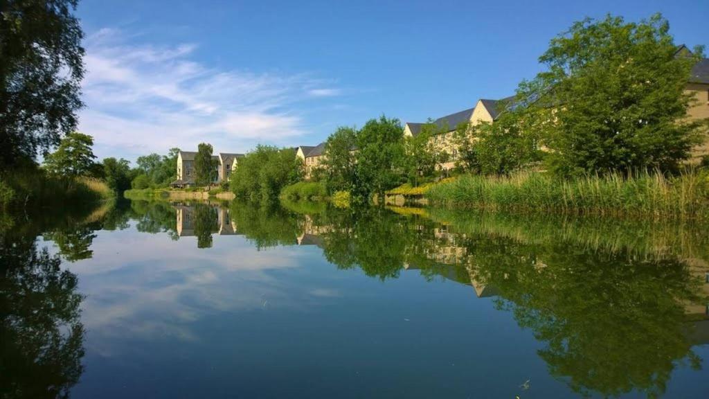 a river with trees and houses in the background at Penthouse Apartment On The River - 65 Skipper Way in Saint Neots