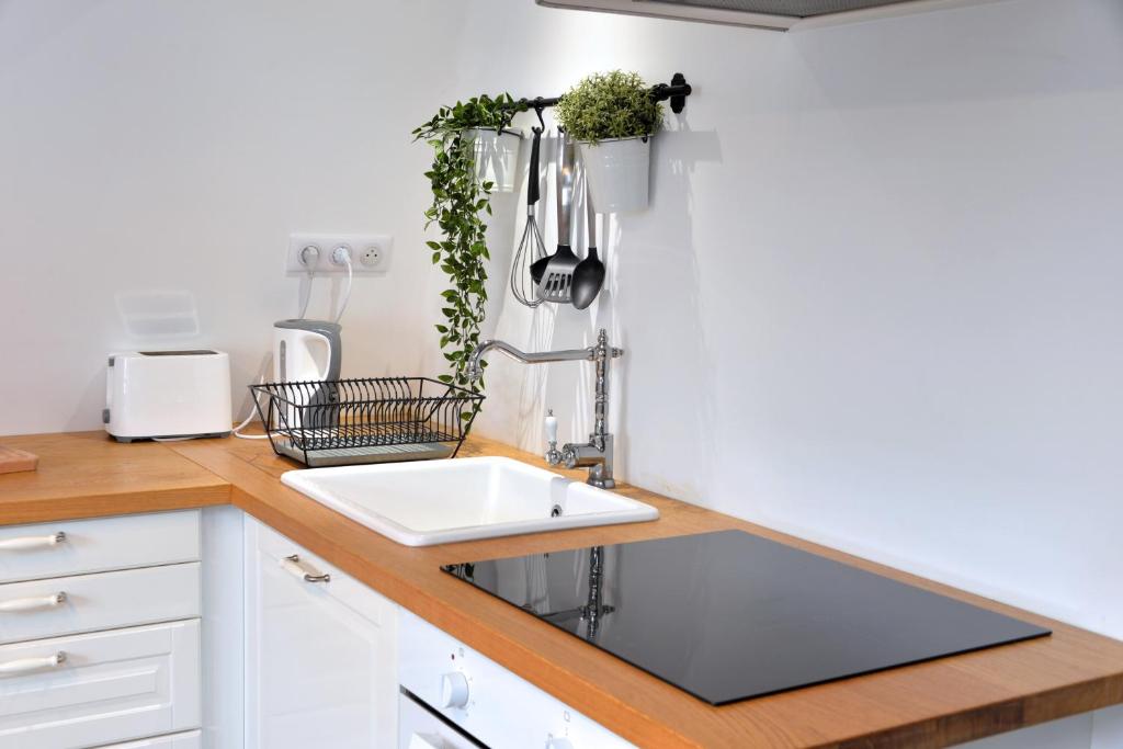 Appartement L'Authentique de la Petite Venise – photo 16