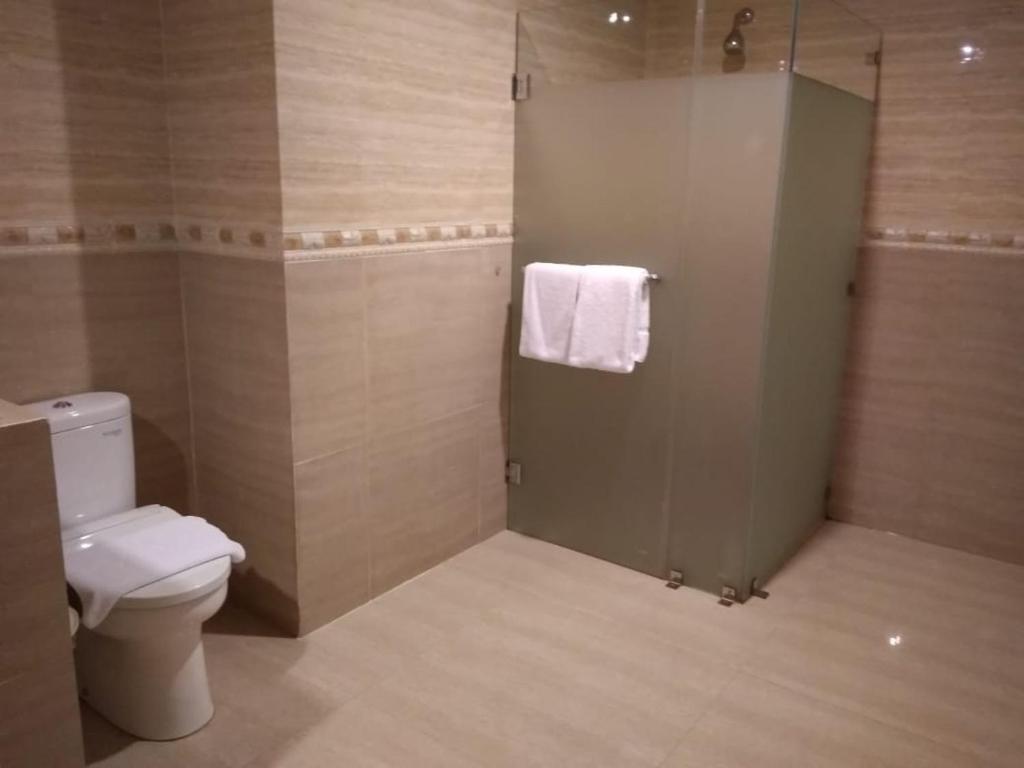 Koupelna v ubytování Hotel Olive