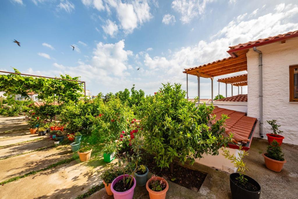 Zahrada ubytování Guest House Luiza
