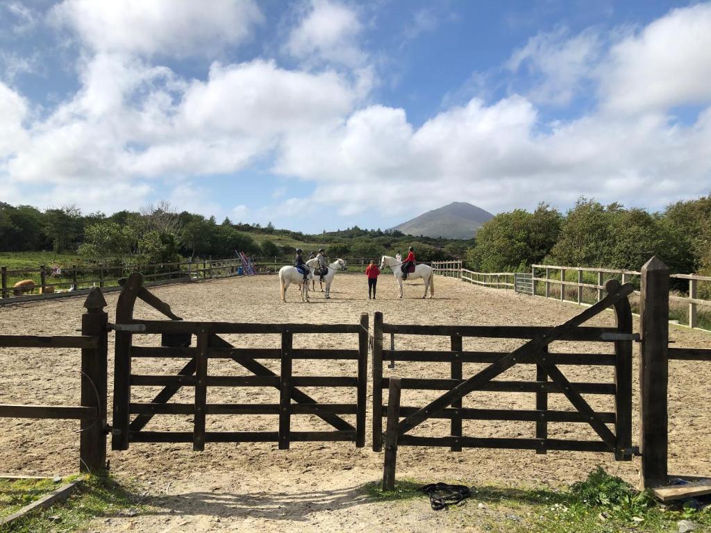 Letterfrack Farm Lodge house in Letterfrack village Connemara