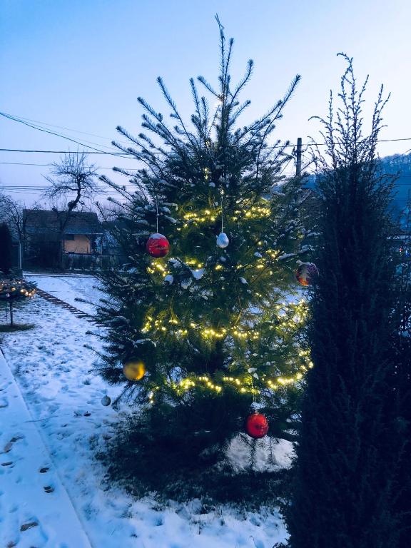 Fotografie z fotogalerie ubytování Hotel Poenita v destinaci Sighişoara