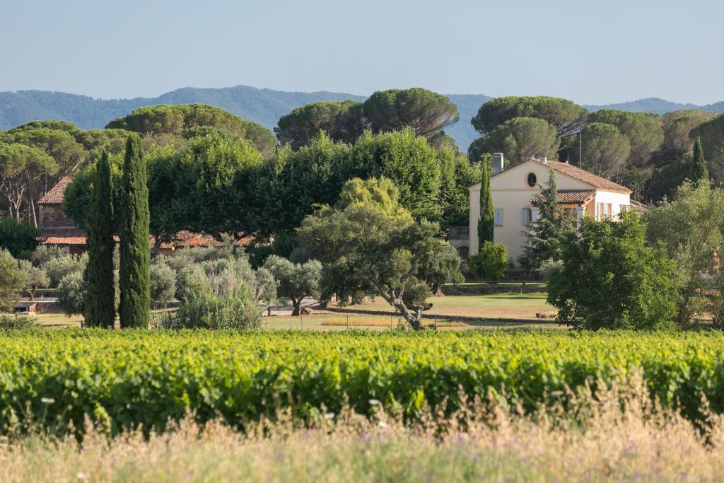 a house and a vineyard in front of a field at La Bastide de Verez in Vidauban