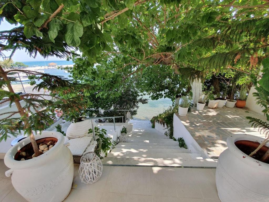 Evia Mare Suites