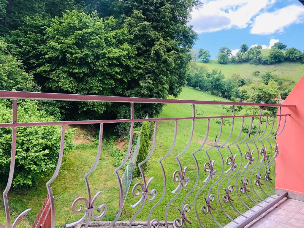 Zahrada ubytování Hotel Poenita