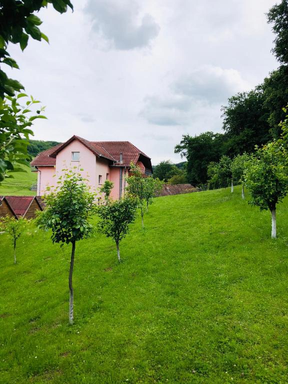 Zahrada ubytování Hotel Poenita