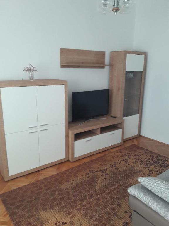 TV a/nebo společenská místnost v ubytování Apartment Bise