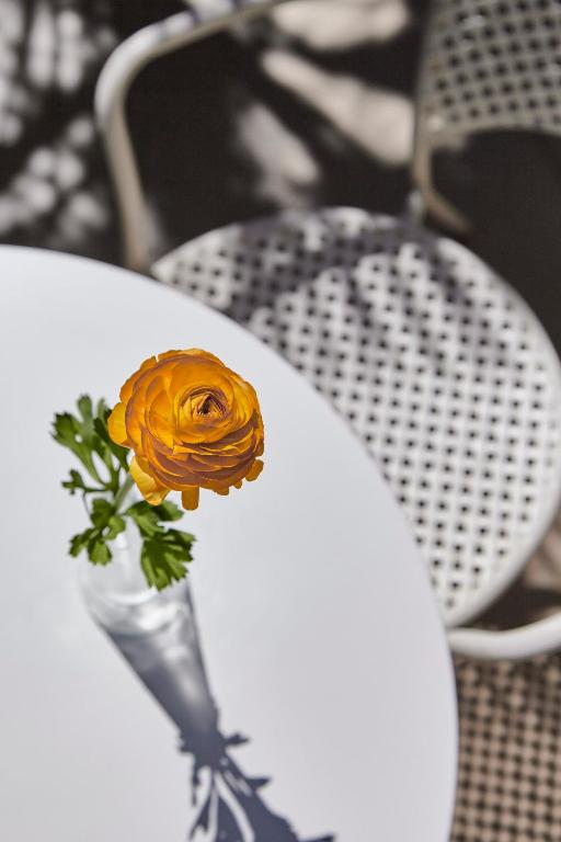 Fotografie z fotogalerie ubytování Hotel La Fenice v Rimini