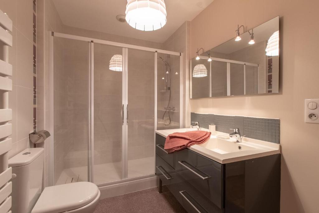 a bathroom with a shower and a sink and a toilet at Othil in Aire-sur-lʼAdour