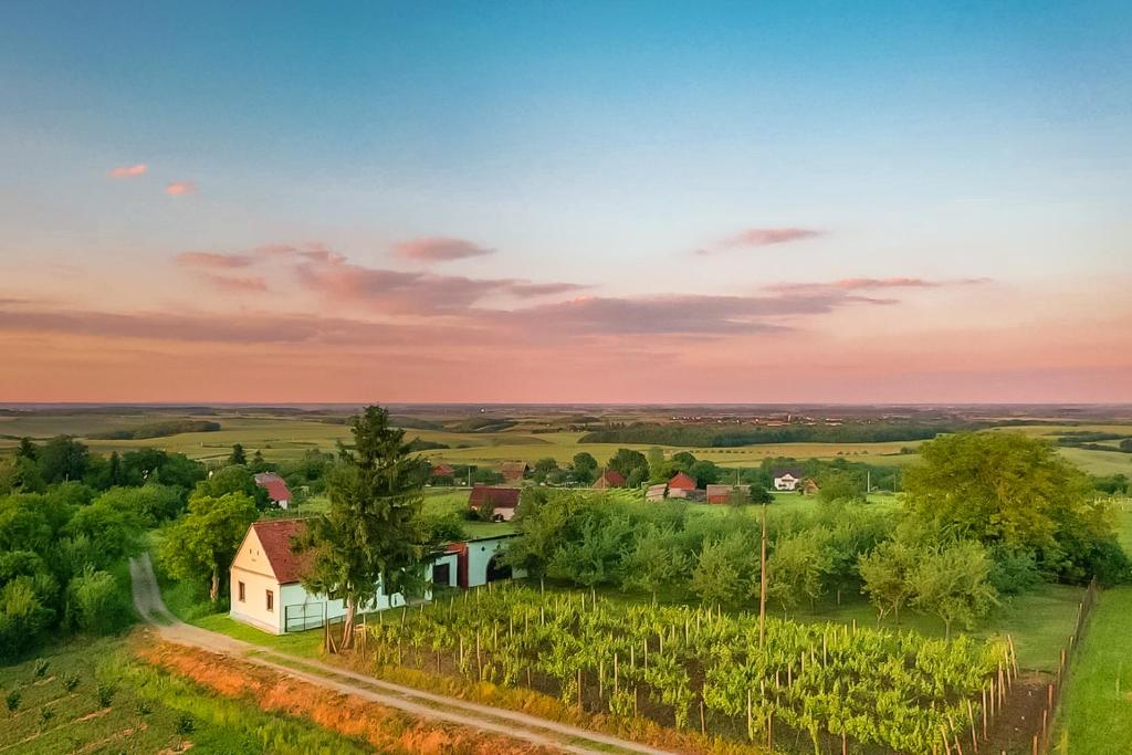 an aerial view of a farm with a house and vineyards at Village Wine House in Mandičevac