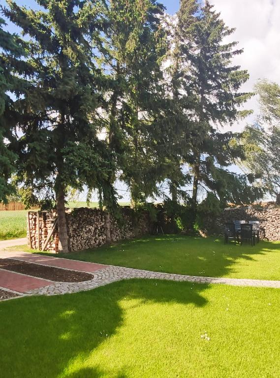 a tree casts a shadow on the grass at Ferienwohnung Dobberzin nahe Mündesee in Angermünde