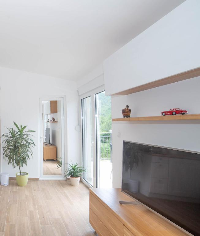 TV a/nebo společenská místnost v ubytování Plamenatz studio apartments