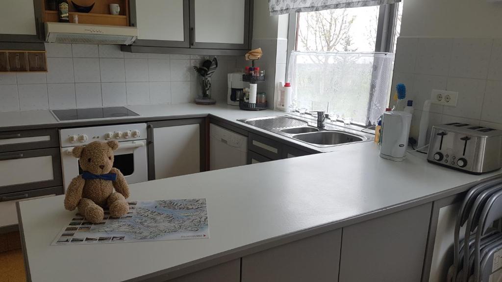 Kuchyň nebo kuchyňský kout v ubytování Móra guesthouse