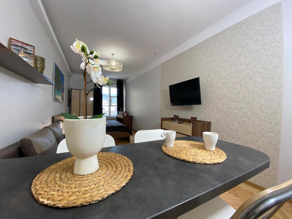 TV a/nebo společenská místnost v ubytování P&J Apartments Floriańska