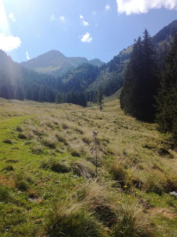 Příroda nedaleko apartmánu