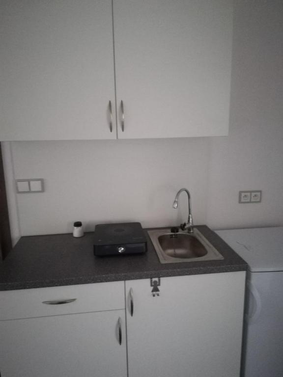 Kuchyň nebo kuchyňský kout v ubytování Penzion Šápara