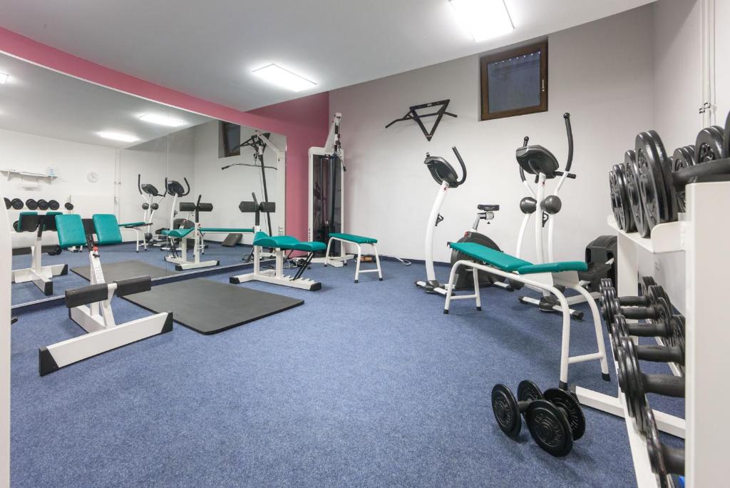 Fitness centrum a/nebo fitness zařízení v ubytování Hotel Hachinger Hof