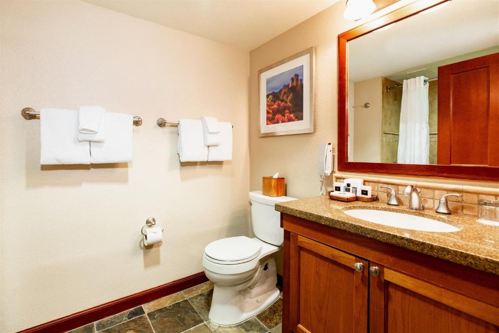 The Everline Resort & Spa Lake Tahoe - Deluxe Queen Room Met Bosuitzicht