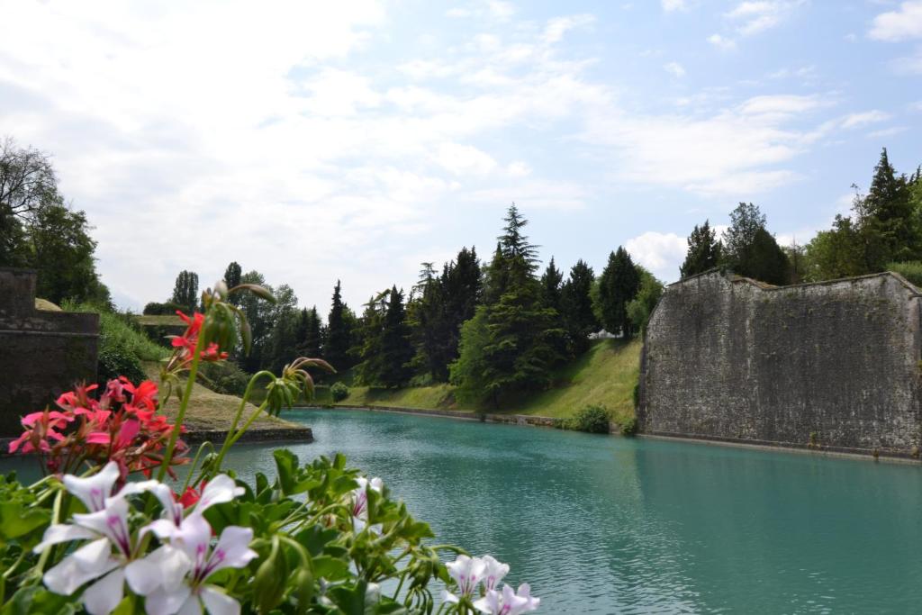 Táj Show holiday homes közelében