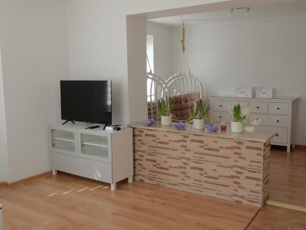 Televízia a/alebo spoločenská miestnosť v ubytovaní Bajka Anity
