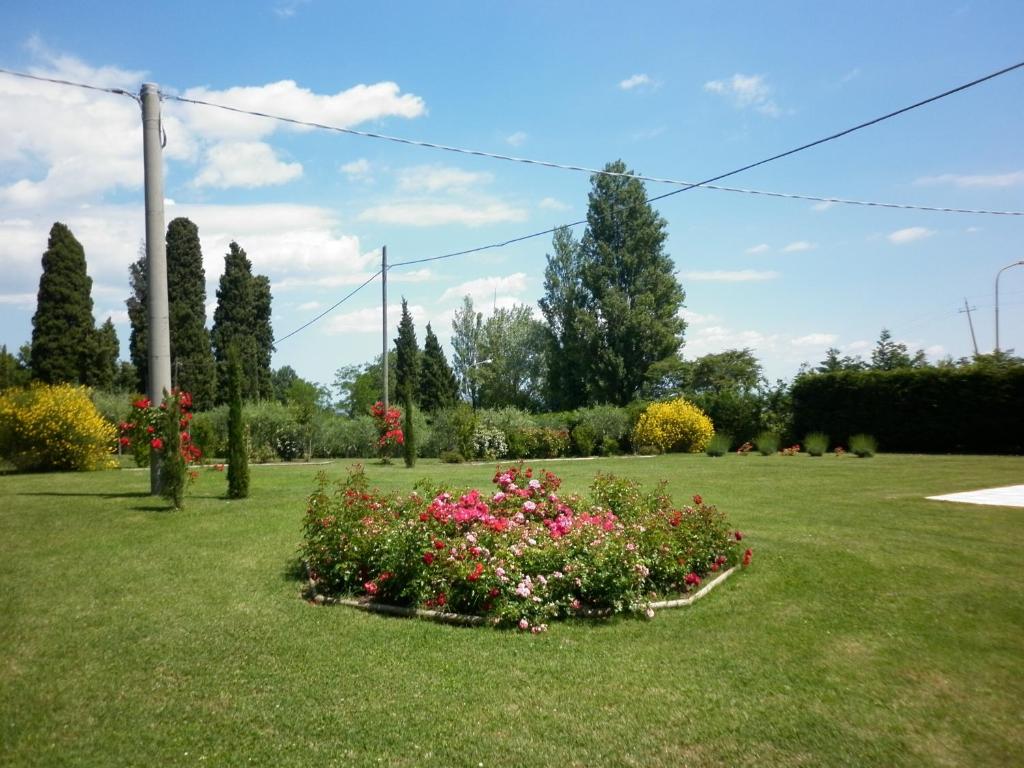 A garden outside Villa Jolanda