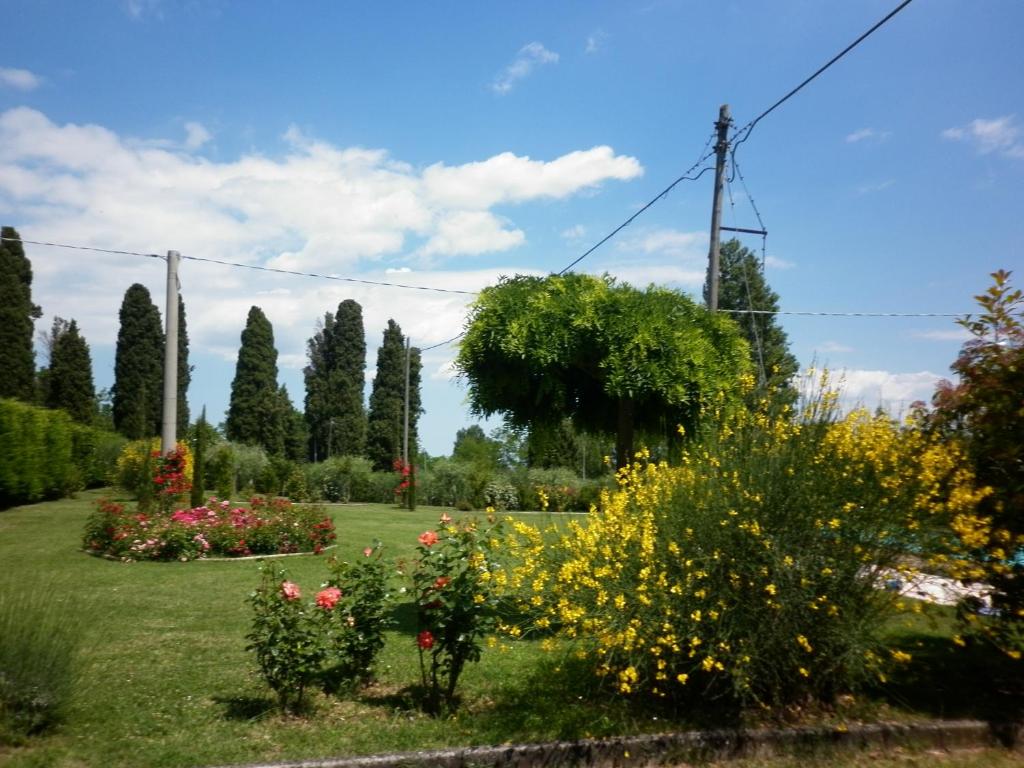A garden outside Villa Jolanda