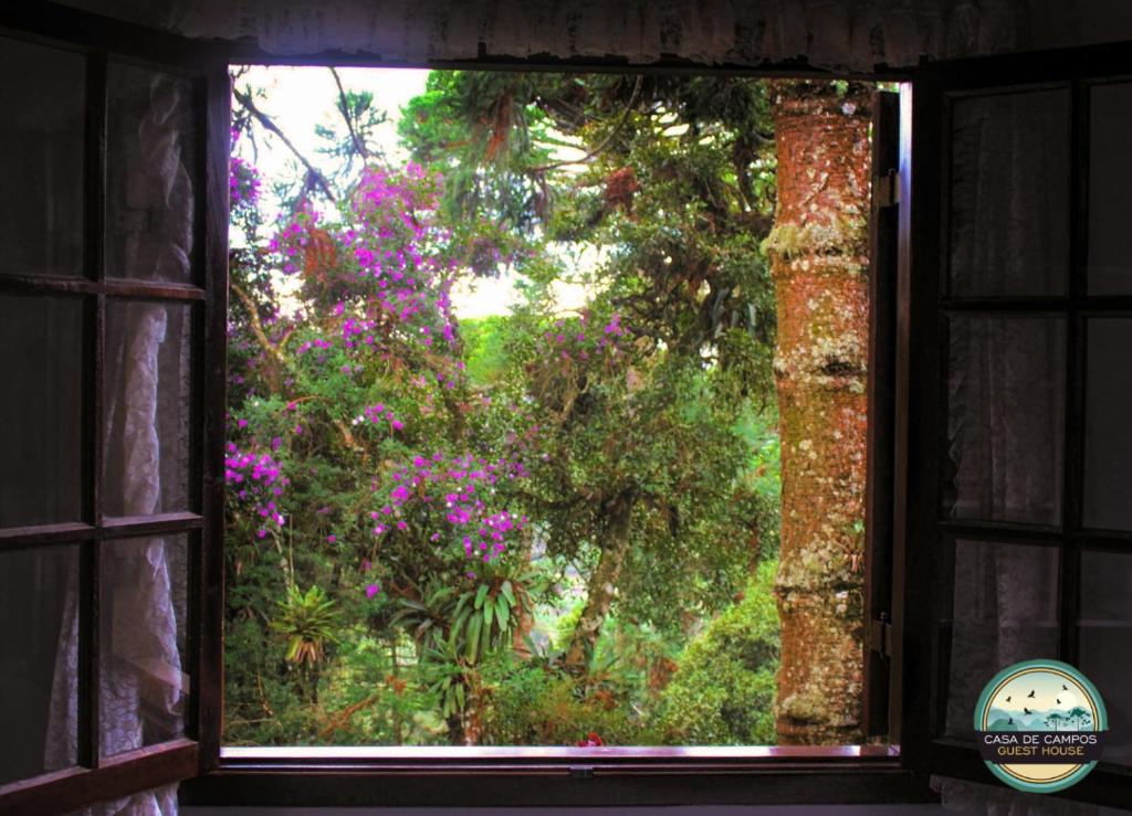  Casa de Campos Guest House