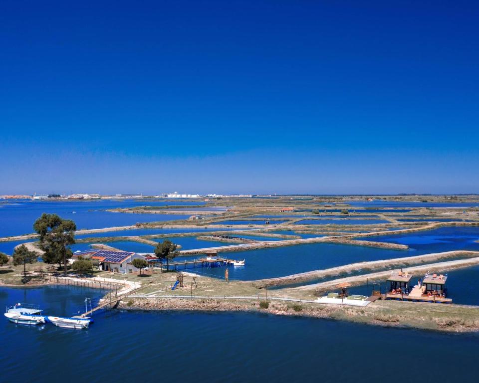 Barcos Casa OstrAveiro - 15