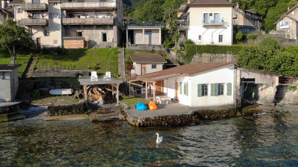 a house in the water with a swan in the water at La guérite du Locum in Meillerie