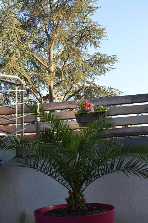 Gîte de la Tour – photo 13