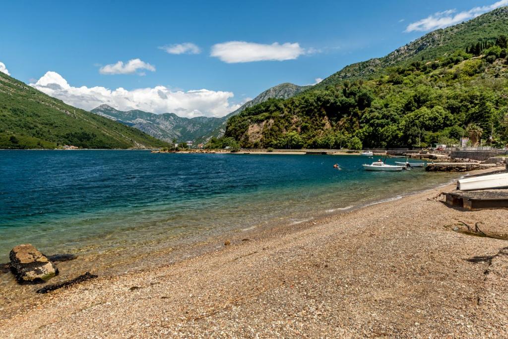 Apartments Vujicic - 19