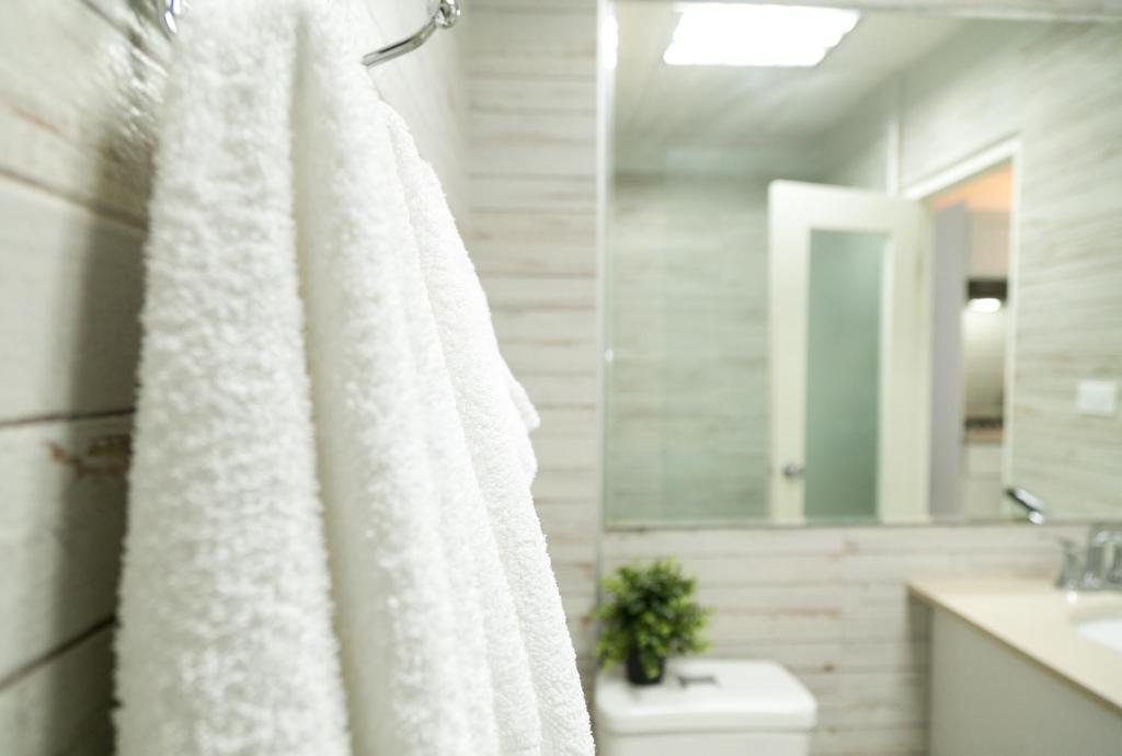 a bathroom with a white shower curtain and a toilet at Choose To Be Happy at Seymour # 9 and #16 - Studio Apartments in Kingston