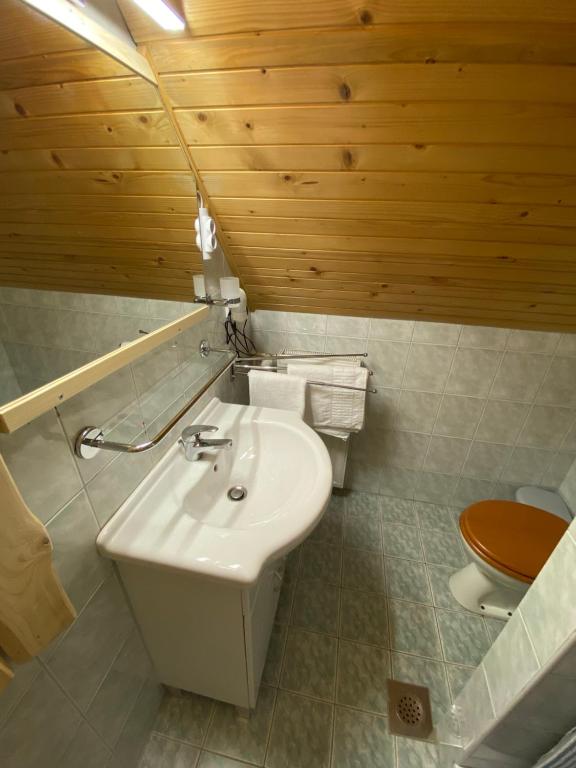 Koupelna v ubytování Hiša Planšar Bohinj accommodations