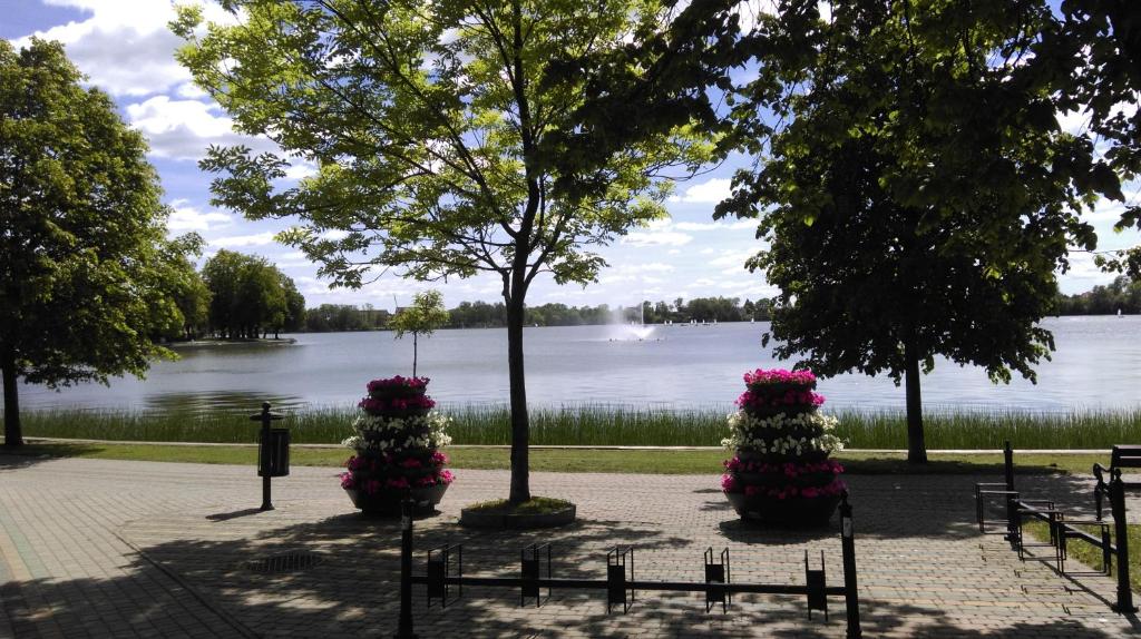 a park with flowers and a lake in the background at APARTAMENT RELAX in Ełk