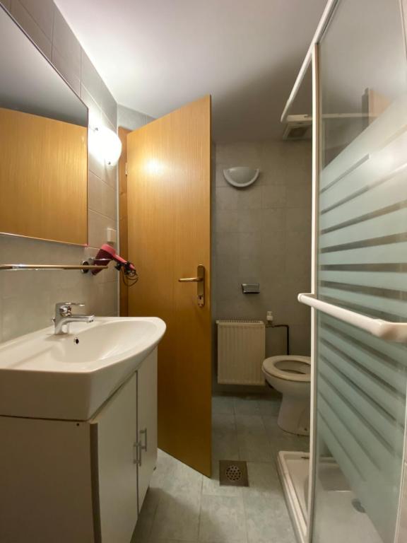 Koupelna v ubytování Hiša Planšar Bohinj accommodations