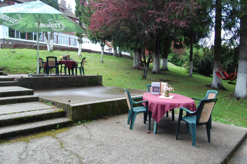 Zahrada ubytování Hotel Bucegi Portile Regatului