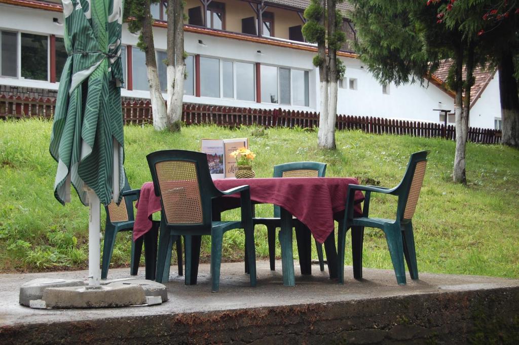 Zahrada ubytování Hotel Bucegi Portile Regatului