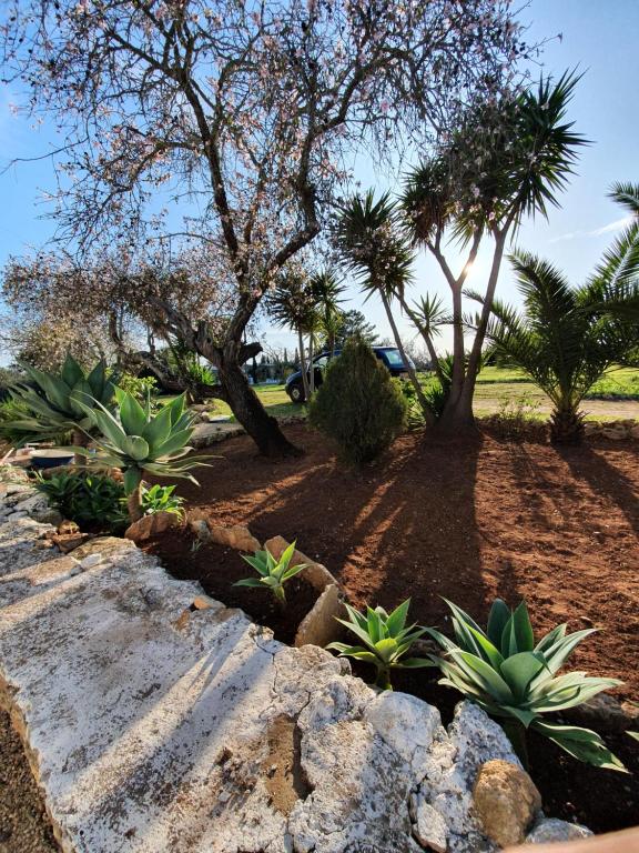 a garden with palm trees and a stone wall at Hakuna matata in Benagil