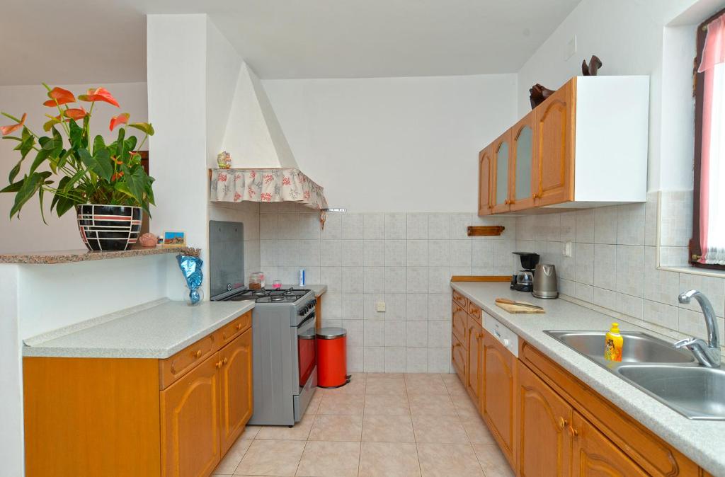 Kuchyňa alebo kuchynka v ubytovaní House Smiljana 2059