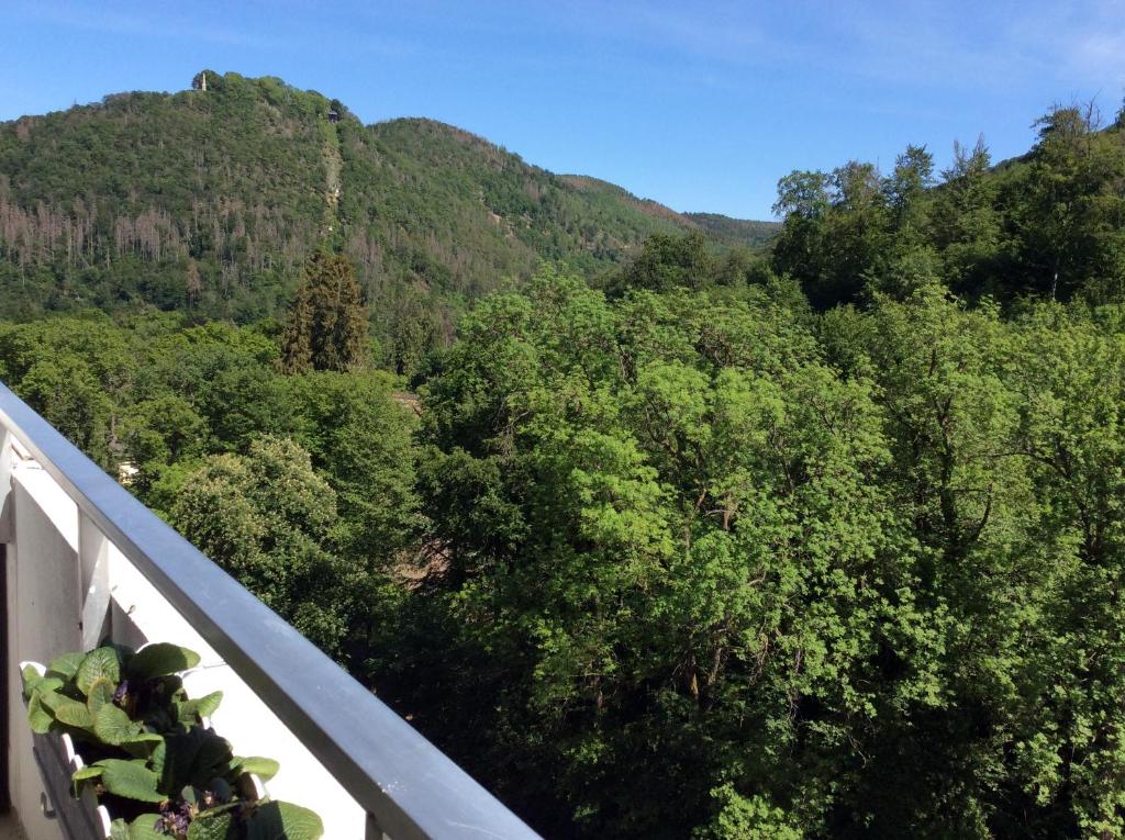 a view of a forest from a balcony at Relax im Wald in Bad Harzburg