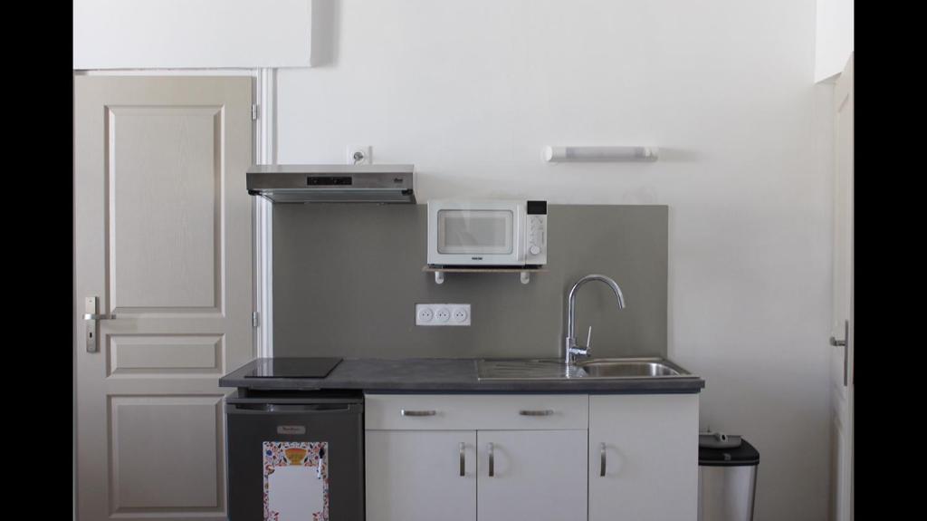 uma pequena cozinha com um lavatório e um micro-ondas em Résidence Pasteur - flyer em Rochefort