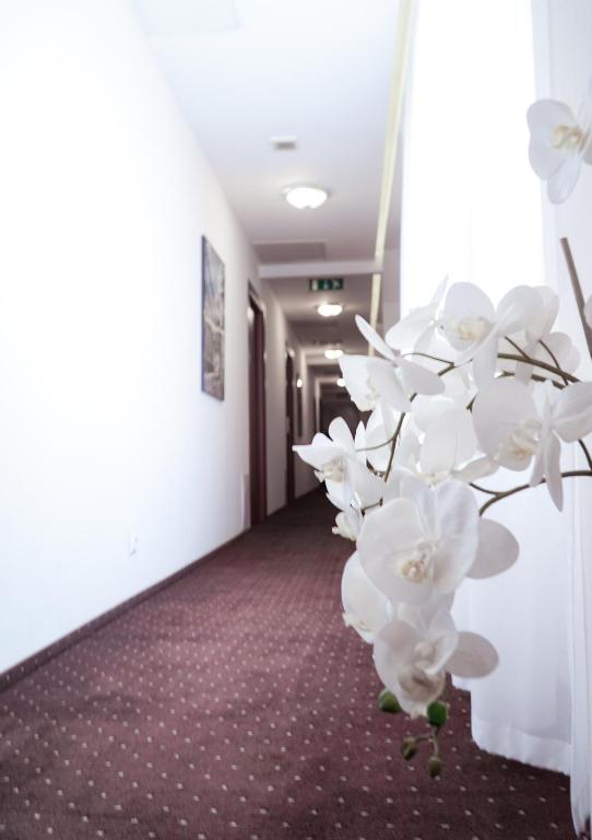 Fotografia z galérie ubytovania City Center Rooms Piotrkowska 91 v Lodži