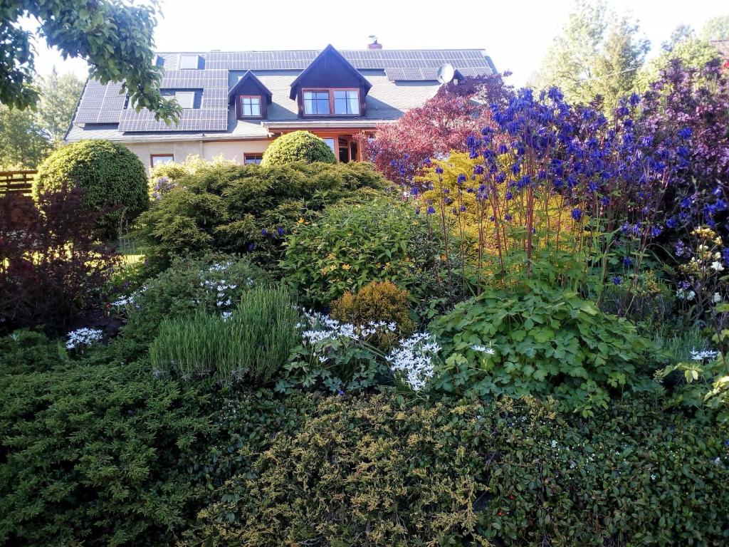 un jardin en face d'une maison avec beaucoup de plantes dans l'établissement Apartamencik na Słonecznej, à Piechowice