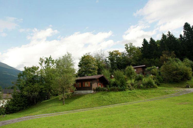 a house on a hill with a green field at Chalet Monika in Sankt Koloman