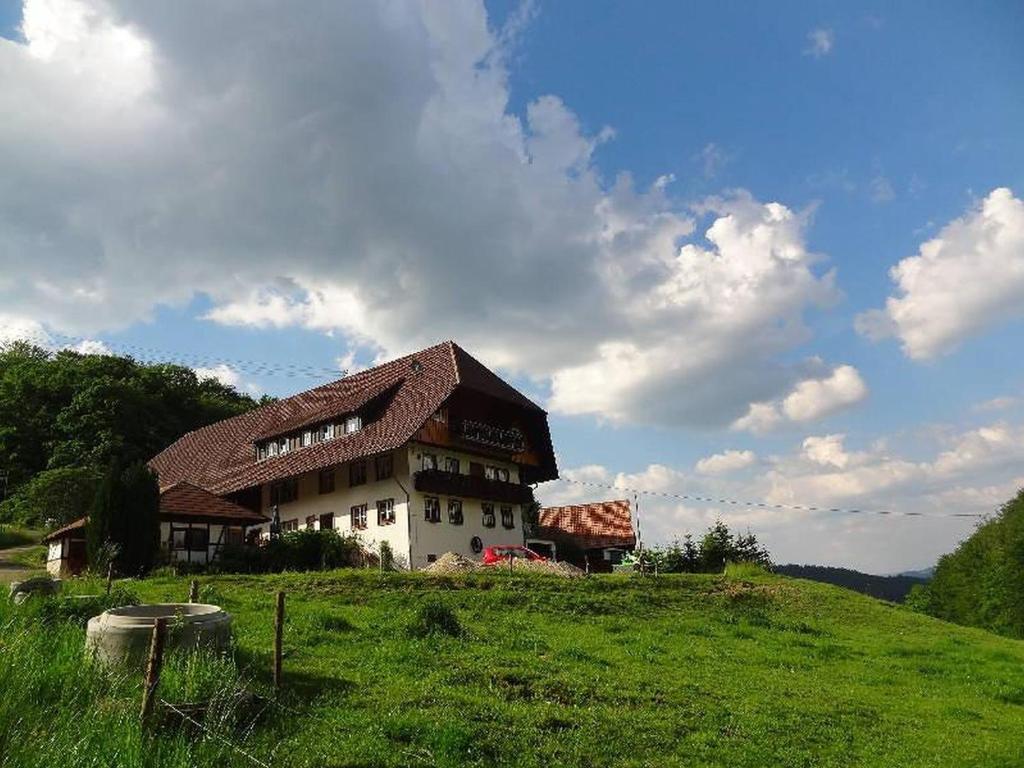 ein Haus auf einem Hügel auf einem Feld in der Unterkunft Heizmannshof in Hofstetten