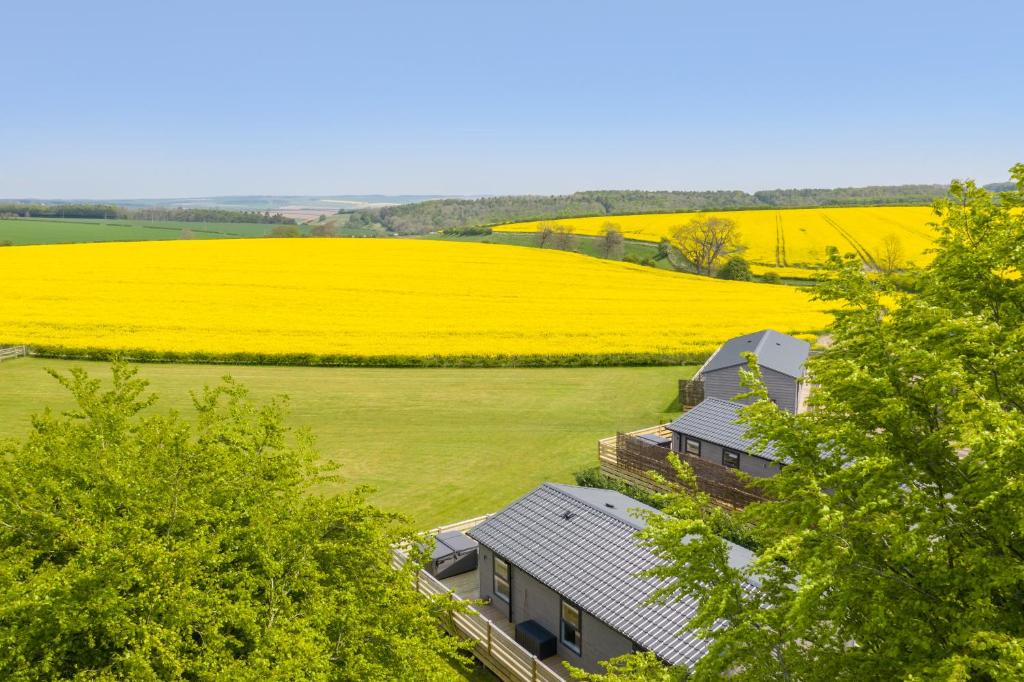 uma vista aérea de uma casa num campo de flores amarelas em Wolds Away em Huggate