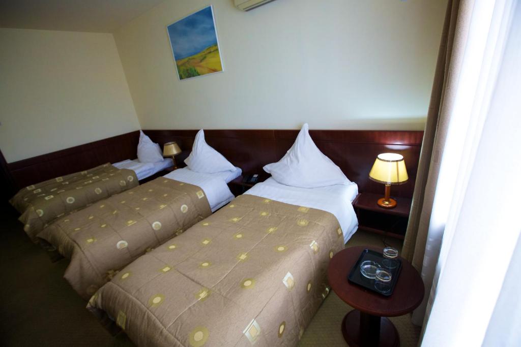 Postel nebo postele na pokoji v ubytování Hotel Delta 3